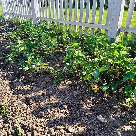 Caloroczny Dom W Sercu Mazur * فينغوجيفو