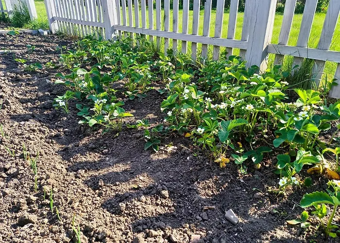 Całoroczny Dom W Sercu Mazur * Węgorzewo